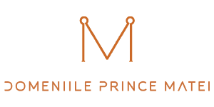 Logo Prince Matei